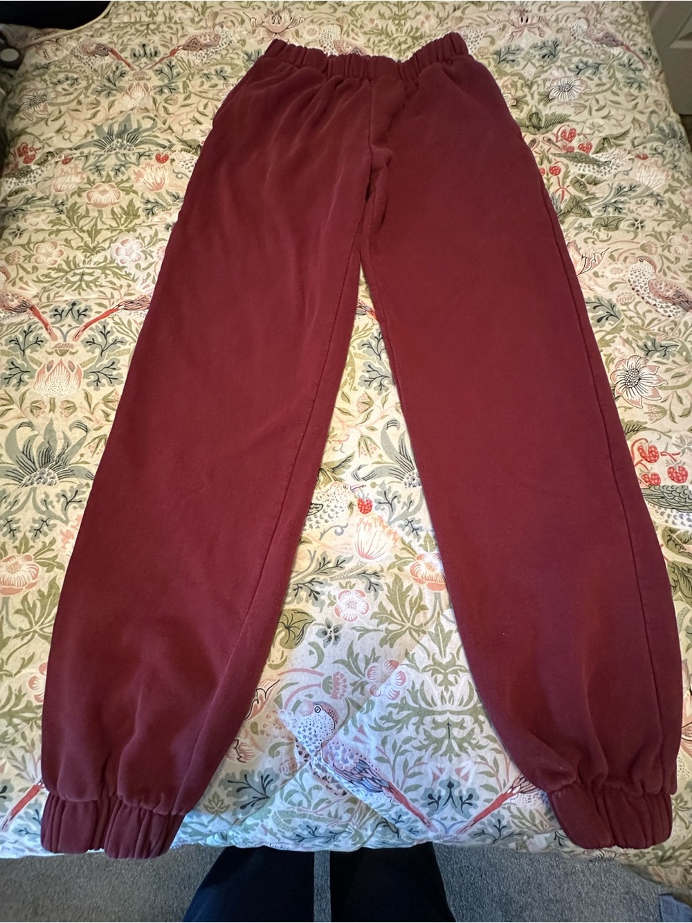 Brandy Melville Burgundy Elastic Waist Pants